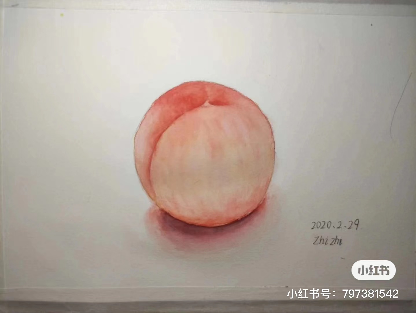 水彩桃子